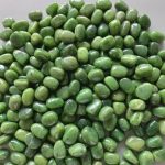 Soft Nephrite Jade Tumble Stone 1 inch (2-3cm) A
