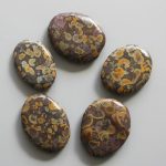 Jasper Fruit Smooth Stone 1.6 inch (0.8-1 x 3.5-4.5cm) A