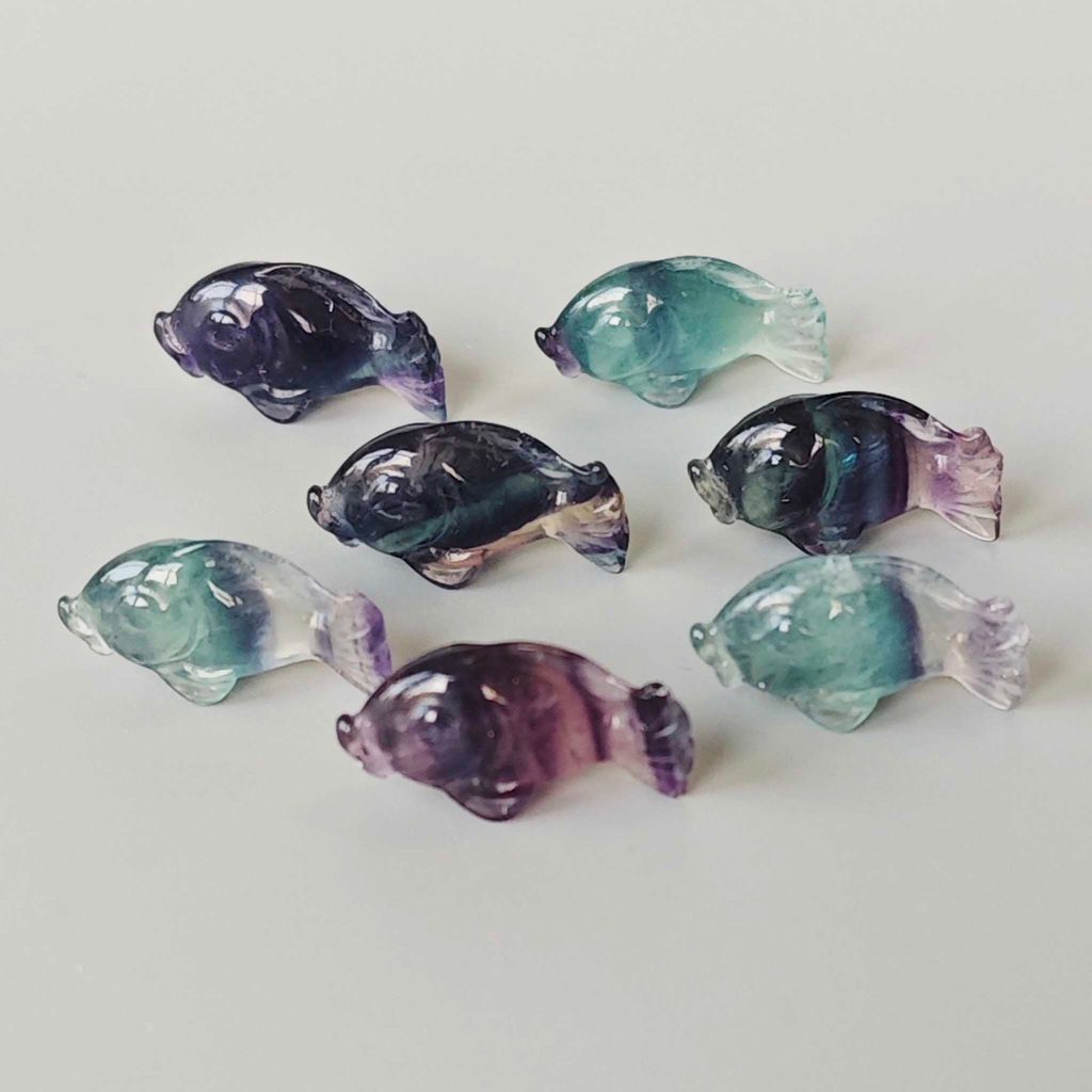 Blue Purple Rainbow Fluorite Fish#1 1 inch (2.5cm) A+/AA