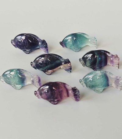 Blue Purple Rainbow Fluorite Fish#1 1 inch (2.5cm) A+/AA