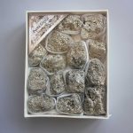 Pyrite China Amulet Geodes Box Set 40x135x175mm A