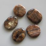 Chiastolite Smooth Stone 1.6 inch (0.8-1 x 3.5-4.5cm) A/B