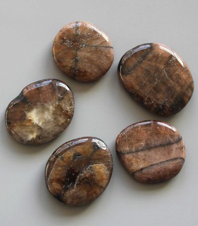 Chiastolite Smooth Stone 1.6 inch (0.8-1 x 3.5-4.5cm) A/B