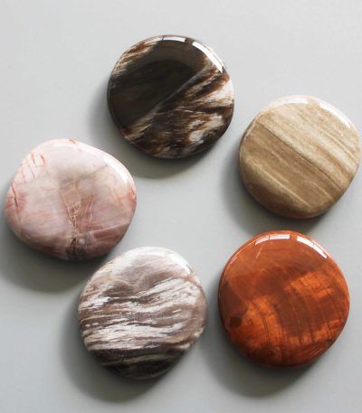 Petrified Wood Smooth Stone 1.6 inch (0.8-1 x 3.5-4.5cm) A