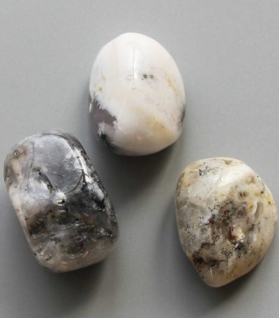 Dendrile Opal Tumble Stone 1 inch (2-3cm) B