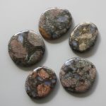 Riolite Smooth Stone 1.6 inch (0.8-1 x 3.5-4.5cm) A
