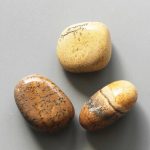 Picture Jasper Tumble Stone 1 inch (2-3cm) B