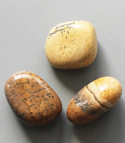 Picture Jasper Tumble Stone 1 inch (2-3cm) B