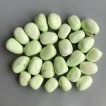 Lemon Chrysoprase Tumble Stone 20/30mm A