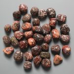 Leopard Skin Jasper Tumble Stone 1 inch (2-3cm) A