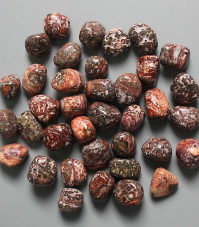 Leopard Skin Jasper Tumble Stone 1 inch (2-3cm) A