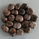 Chiastolite Tumble Stone 1 inch (2-3cm) A