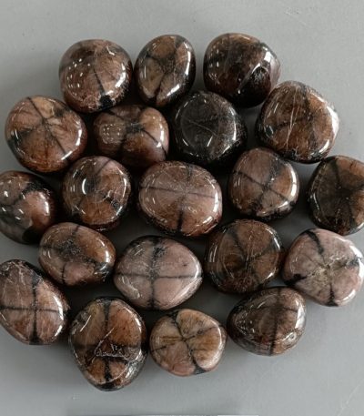 Chiastolite Tumble Stone 1 inch (2-3cm) A