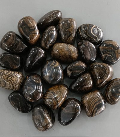 Stromatolite Tumble Stone 20/30mm A