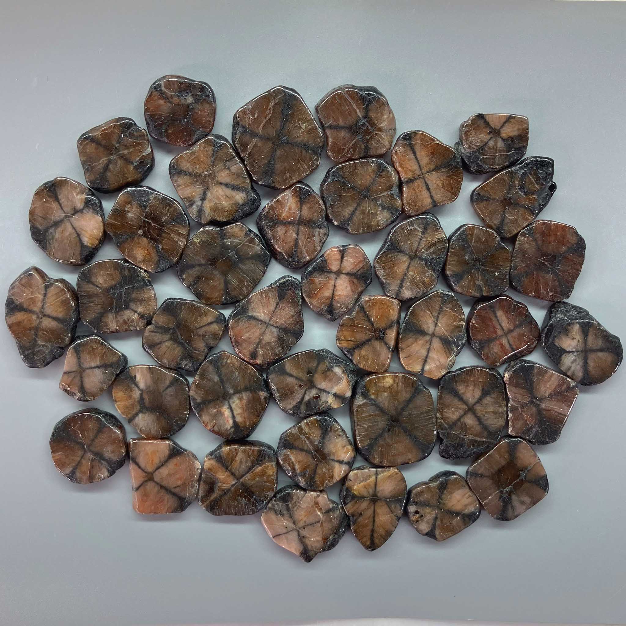 edd64b4a04982e7cbd7f2fde24878c83_db55c7c3-b16a-4572-9480-8c3fbc1e0980 Chiastolite Natural Edge Slab 1-2 inch (0.7-1 x 2.5-5cm) A