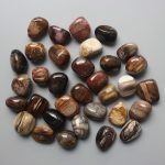 Petrified Wood Tumble Stone 1 inch (2-3cm) A/B