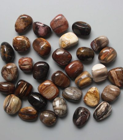Petrified Wood Tumble Stone 1 inch (2-3cm) A/B