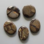 Septaria Smooth Stone 1.6 inch (0.8-1 x 3.5-4.5cm) A/B