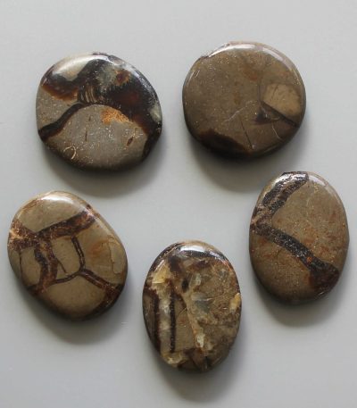 Septaria Smooth Stone 1.6 inch (0.8-1 x 3.5-4.5cm) A/B