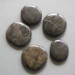 Stromatolite China Smooth Stone 1.6 inch (0.8-1 x 3.5-4.5cm) A