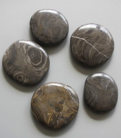 Stromatolite China Smooth Stone 1.6 inch (0.8-1 x 3.5-4.5cm) A