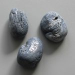 Blue Coral Tumble Stone 1 inch (2-3cm) B