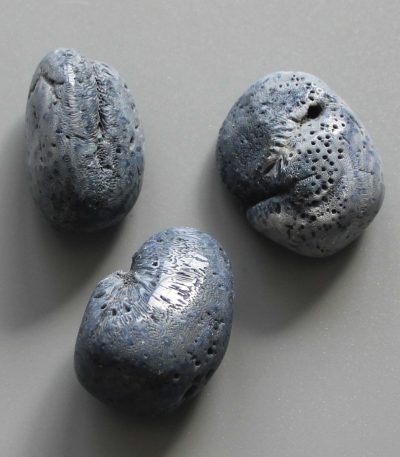 Blue Coral Tumble Stone 1 inch (2-3cm) B