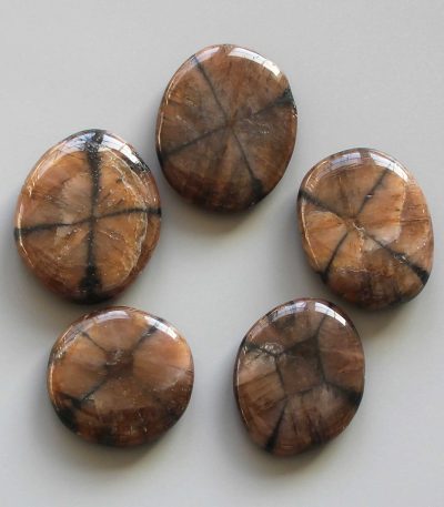 Chiastolite Smooth Stone 1.6 inch (0.8-1 x 3.5-4.5cm) A/A+