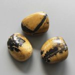 Dragon Picture Jasper Tumble Stone 1 inch (2-3cm) A