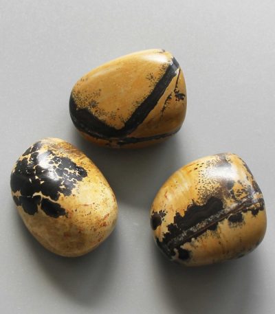 Dragon Picture Jasper Tumble Stone 1 inch (2-3cm) A