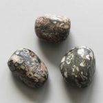 Shell Fossil Jasper Tumble Stone 1 inch (2-3cm) A