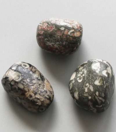 Shell Fossil Jasper Tumble Stone 1 inch (2-3cm) A
