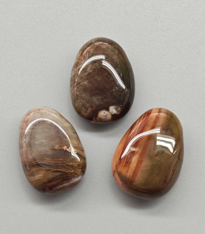 Petrified Wood Tumble Pendant With Cross Hole 2.5mm 0.8-1.2 inch (2.2-3cm) A