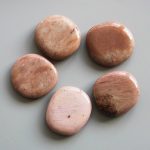 Petrified Wood Pink Smooth Stone 1.6 inch (0.8-1 x 3.5-4.5cm) A/B