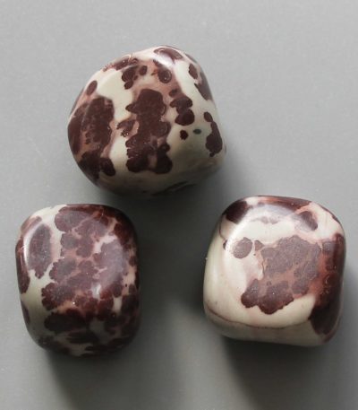 Picture Jasper China Tumble Stone 1 inch (2-3cm) A