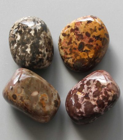 Red Tiger Jasper Tumble Stone 1 inch (2-3cm) A