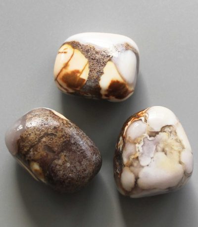 Cobra Jasper Tumble Stone 1 inch (2-3cm) A
