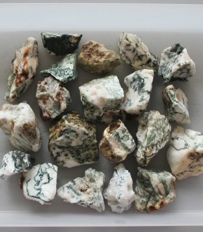 Tree Agate Rough 30/50mm A/B