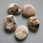 Blossoms Agate Smooth Stone 1.6 inch (0.8-1 x 3.5-4.5cm) A/B