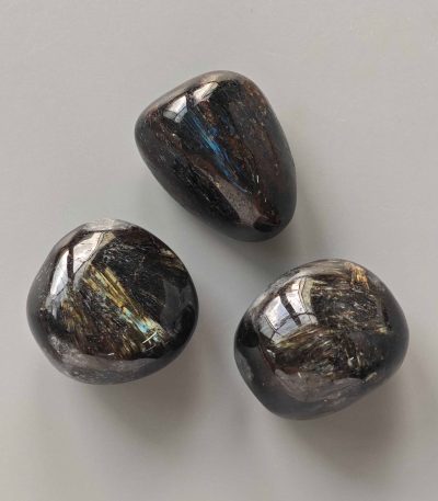 Arfvedsonite Tumble Stone 1 inch (2-3cm) A/A+