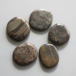 Tiger Skin Jasper Ch Smooth Stone 1.6 inch (0.8-1 x 3.5-4.5cm) A/B