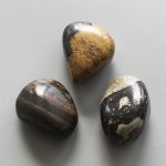Dragon Picture Jasper Tumble Stone 1 inch (2-3cm) B
