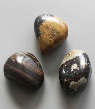 Dragon Picture Jasper Tumble Stone 1 inch (2-3cm) B