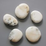 White Shell Ch Smooth Stone 1.6 inch (0.8-1 x 3.5-4.5cm) A/B