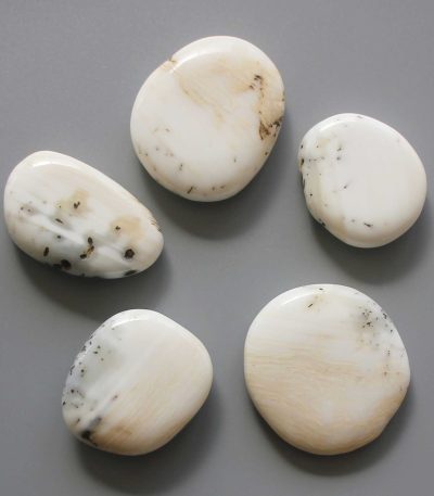 White Shell Ch Smooth Stone 1.6 inch (0.8-1 x 3.5-4.5cm) A/B