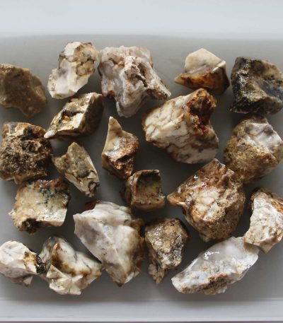 Dendrile Yellow Opal Rough 30/50mm A/B