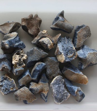 Blue Coral Rough 30/50mm A/B