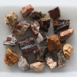 Petrified Wood Rough 30/50mm A/B